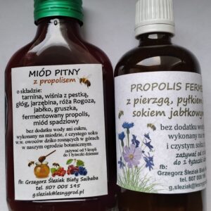 PROPOLIS FERMENTOWANY Z PIERZGĄ Z PYŁKIEM KWIATOWYM i MIÓD PITNY HIT BIAŁY SAIBABA